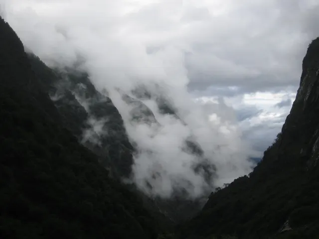 IMG 0007
