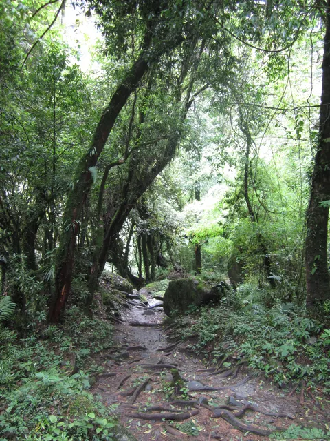 IMG 0051