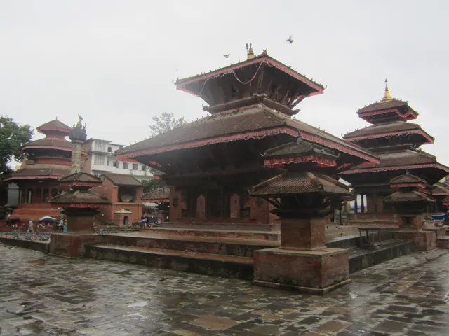 IMG 0302
