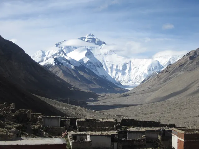 IMG 0338