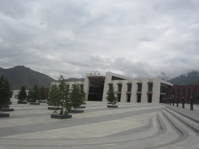 IMG 0517