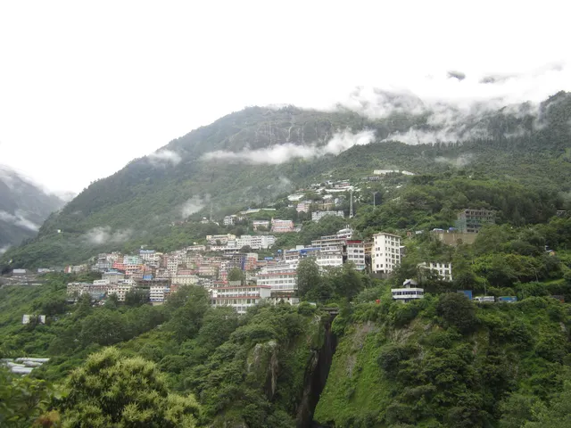 IMG 0537